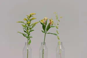 Downtown Bloomfield, OH, OH