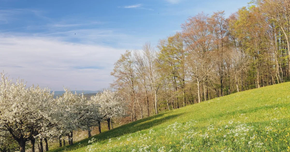 Downtown Blooming Grove, PA, PA