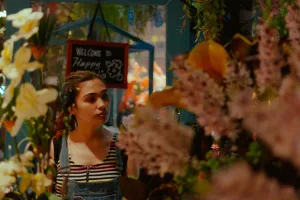 Downtown Bloomingdale, MI, MI