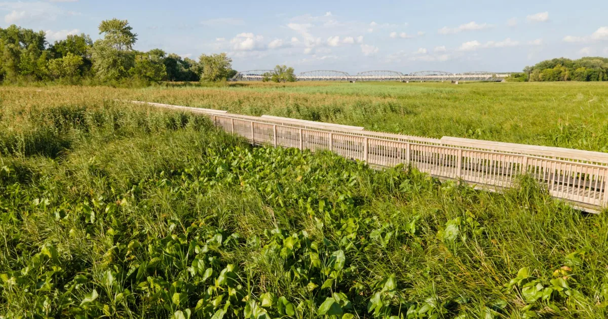 Downtown Bloomington, IN, IN