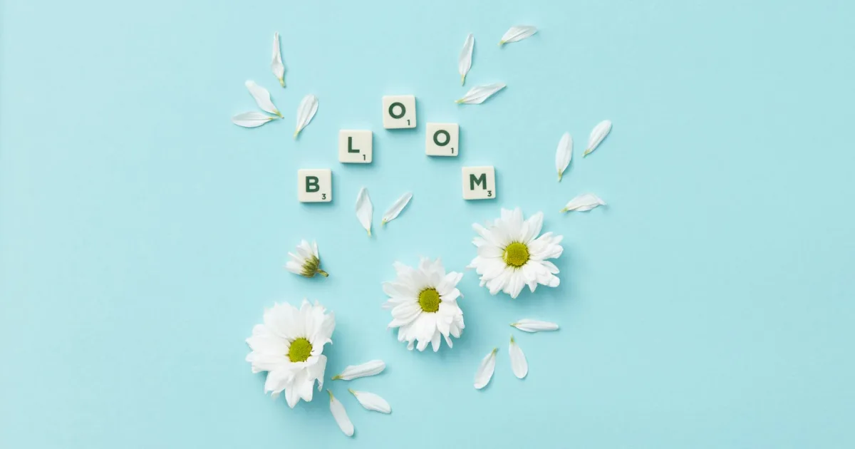 Downtown Bloomsdale, MO, MO