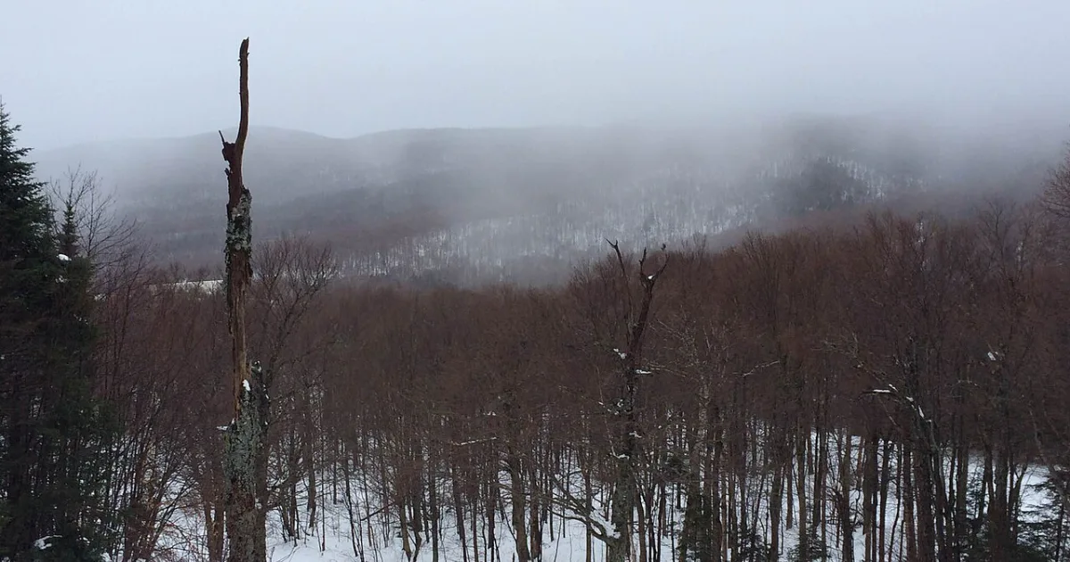 town in Chittenden County, Vermont, USA