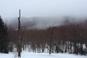 town in Chittenden County, Vermont, USA