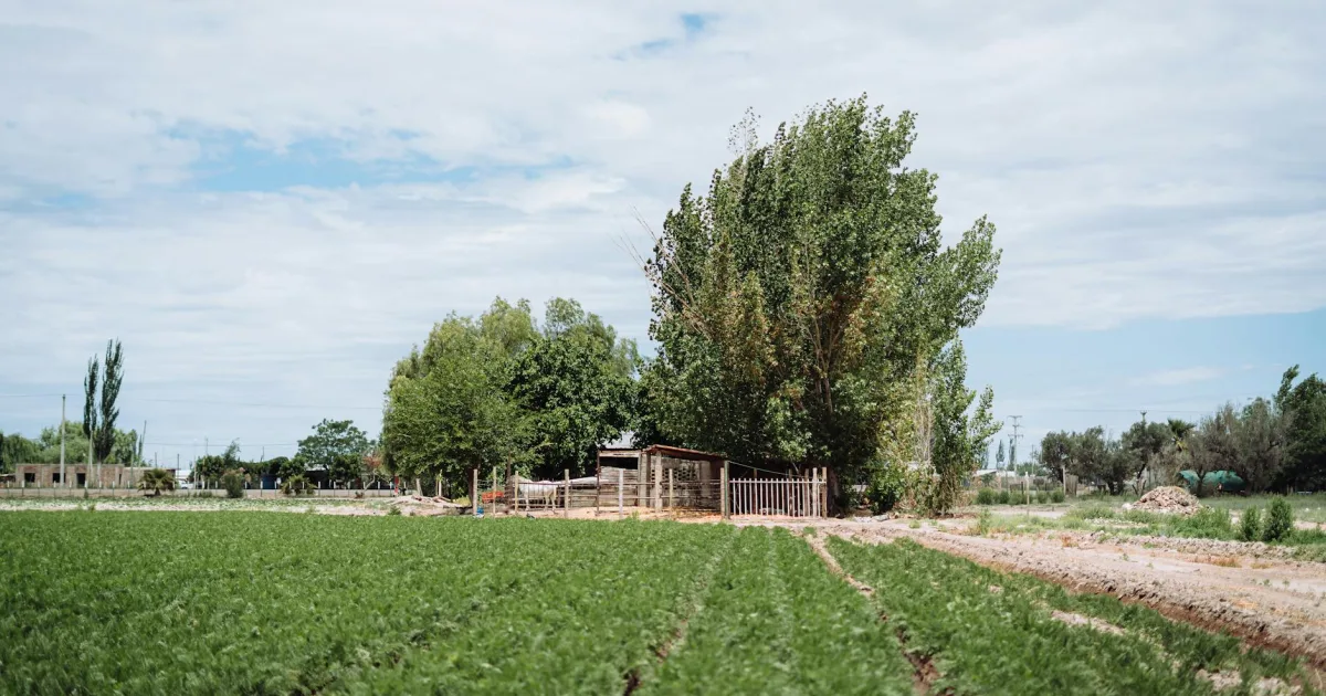 Downtown Bosque Farms, NM, NM