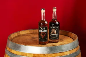 Downtown Bourbon, IL, IL