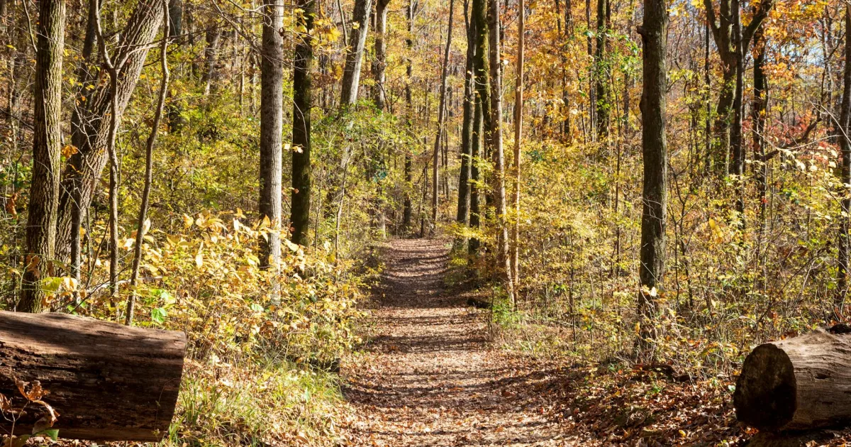 Downtown Bradford Woods, PA, PA