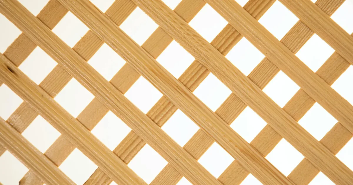 Downtown Braidwood, IL, IL