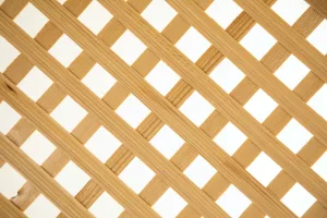 Downtown Braidwood, IL, IL