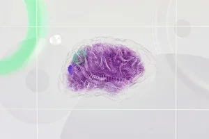 Downtown Brainard, NE, NE