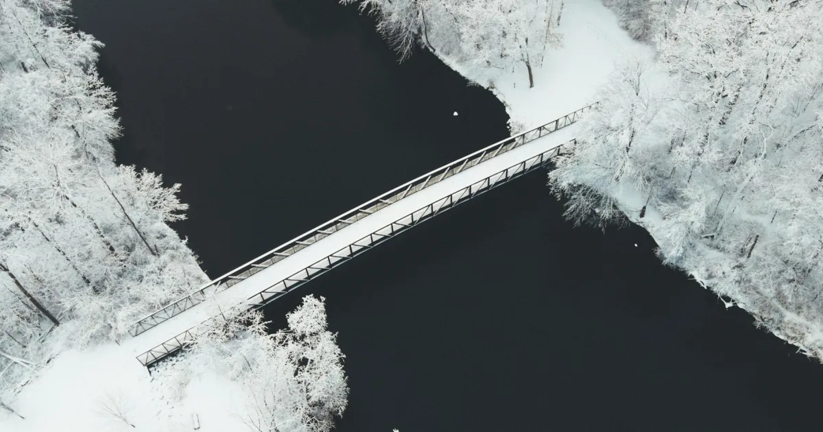 Downtown Bridgewater, MI, MI