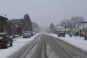 Downtown Bridgman, MI, MI