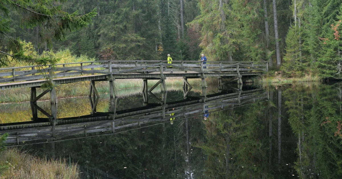 Downtown Brogden, NC, NC