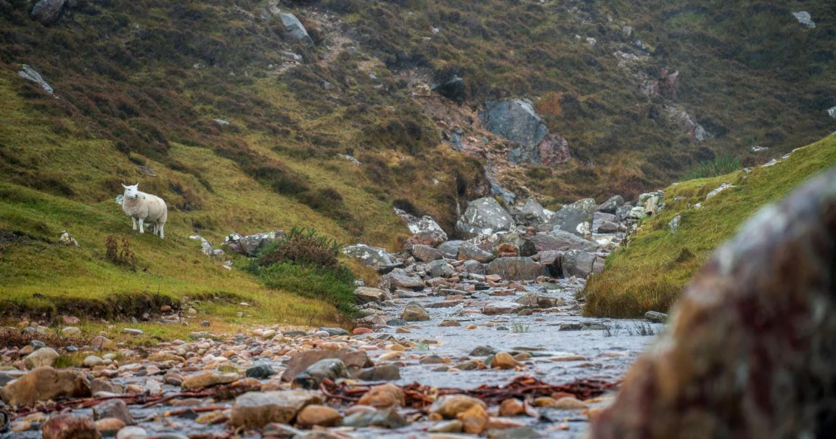 Downtown Brook Highland, AL, AL