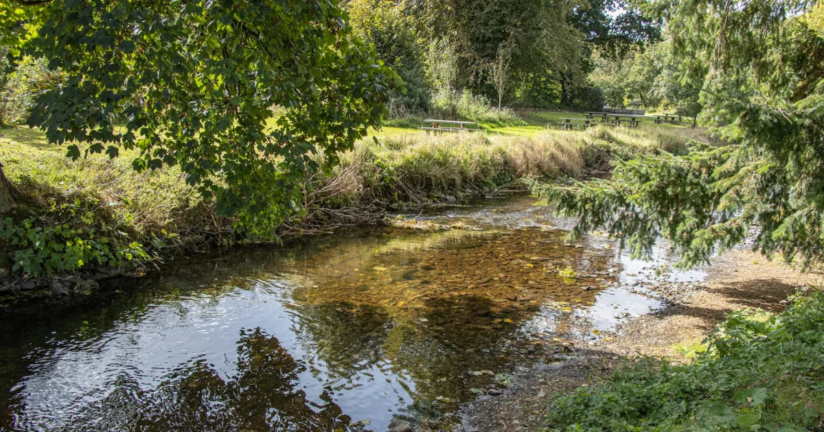 Downtown Brook Park, OH, OH
