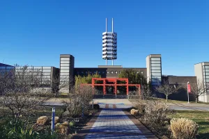 Downtown Brookhaven, NY, NY