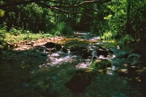 Downtown Brooklet, GA, GA