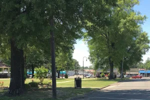 town situated along the Skuna River in Calhoun County, Mississippi, USA