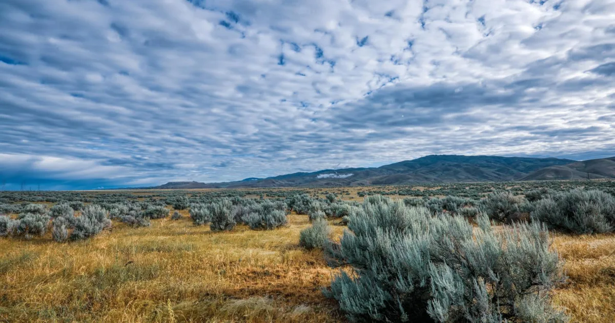 Downtown Brush Valley, PA, PA