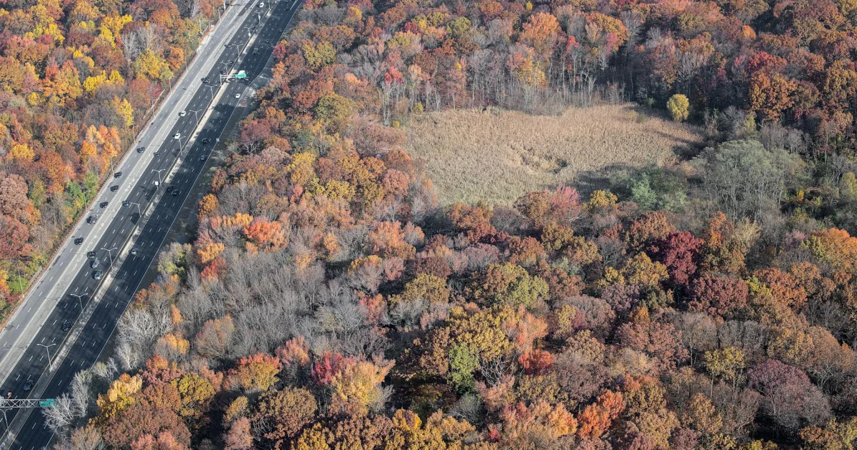 Downtown Bryans Road, MD, MD