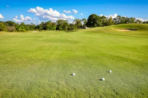 Downtown Buckhead Ridge, FL, FL