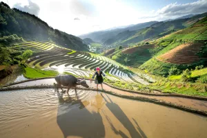 Downtown Buffalo, PA, PA