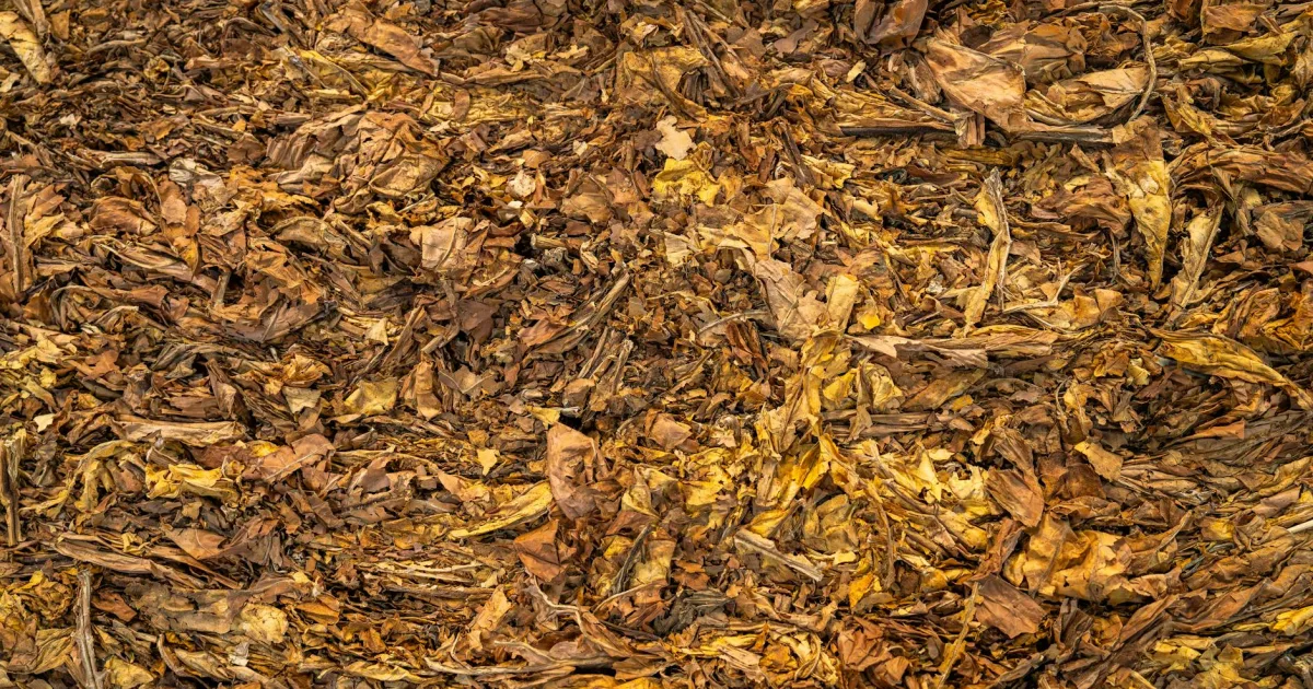 Downtown Burley, WA, WA