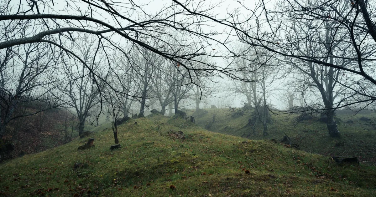 Downtown Butcher's Hill, MD, MD