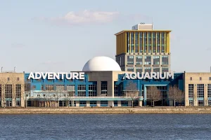 Camden, NJ