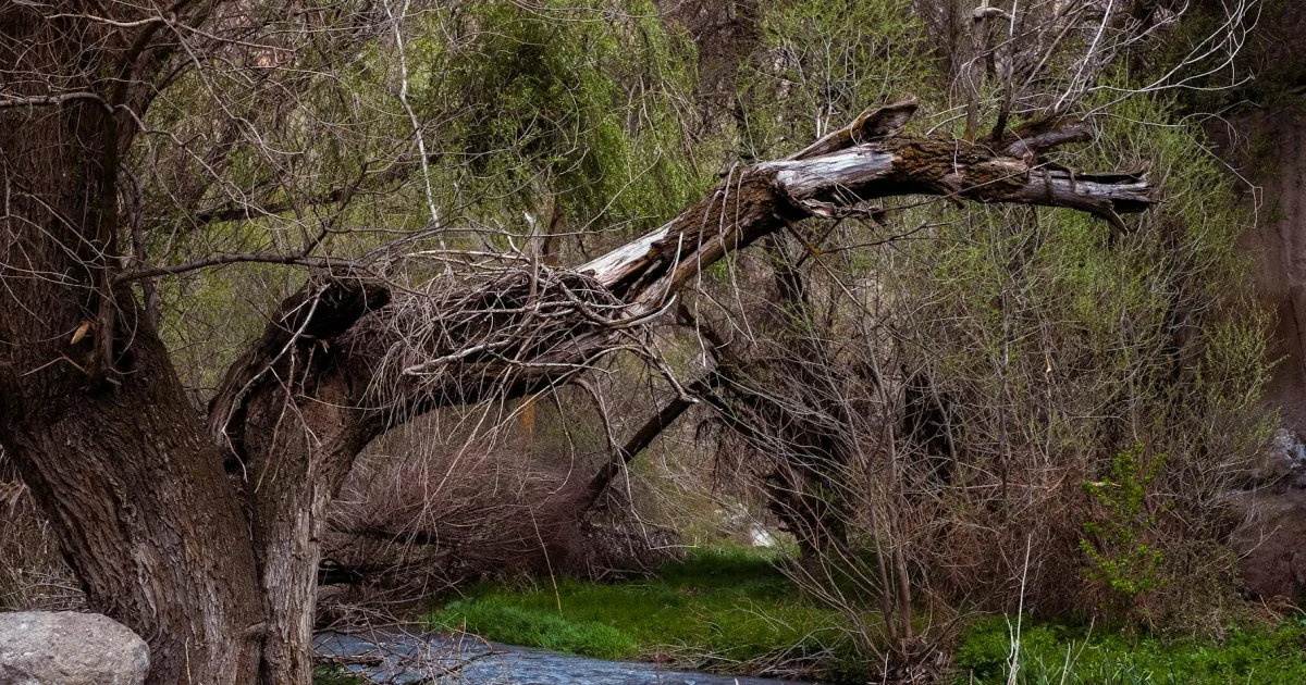 Downtown Cantua Creek, CA, CA