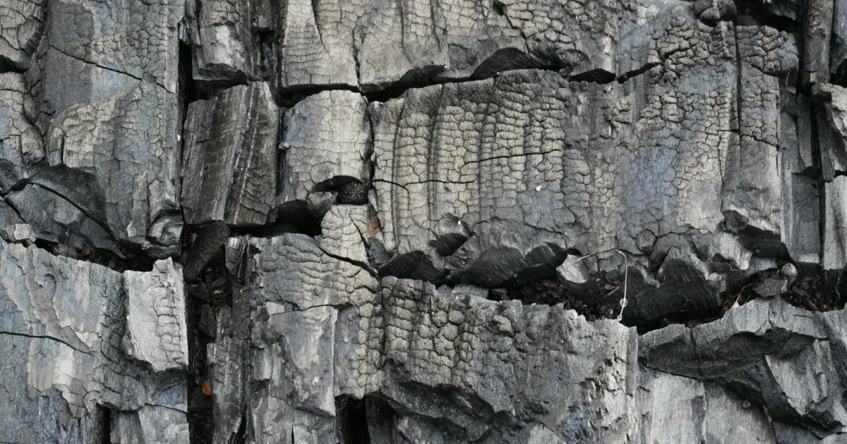 Downtown Carbon Cliff, IL, IL