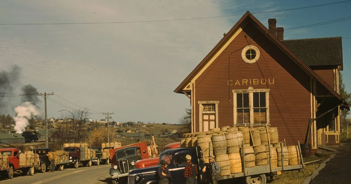 city in Aroostook County, Maine, United States