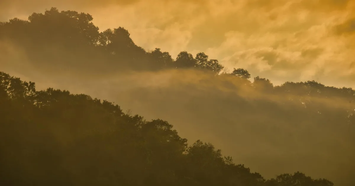 Downtown Carlos, MN, MN