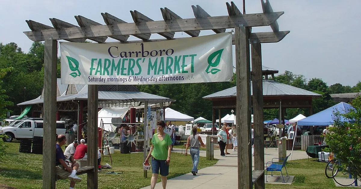 town in North Carolina, United States