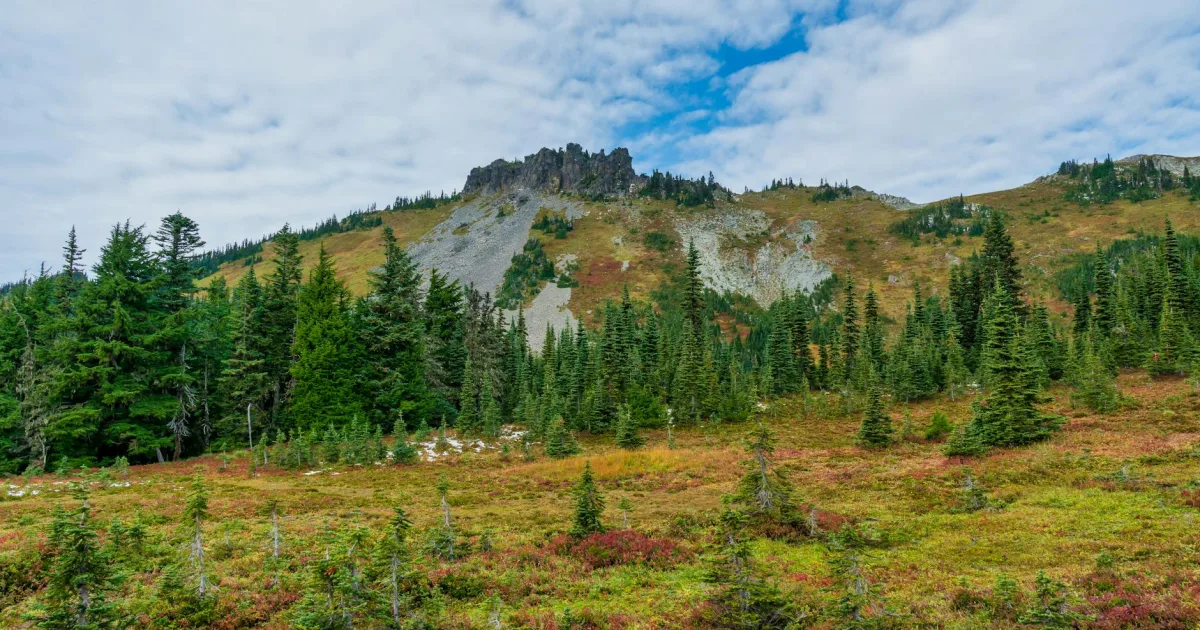 Downtown Cascade Valley, WA, WA