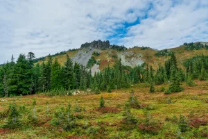 Downtown Cascade Valley, WA, WA
