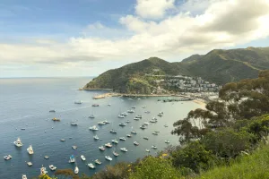 Downtown Catalina, AZ, AZ