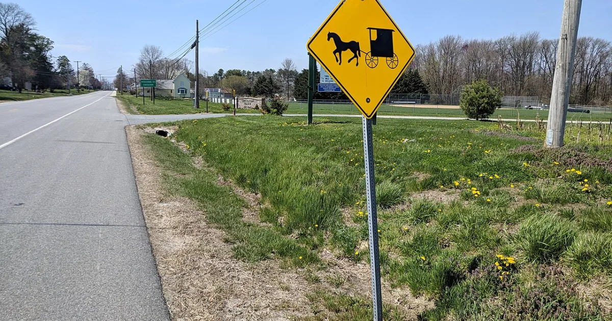 Downtown Cecilton, MD, MD