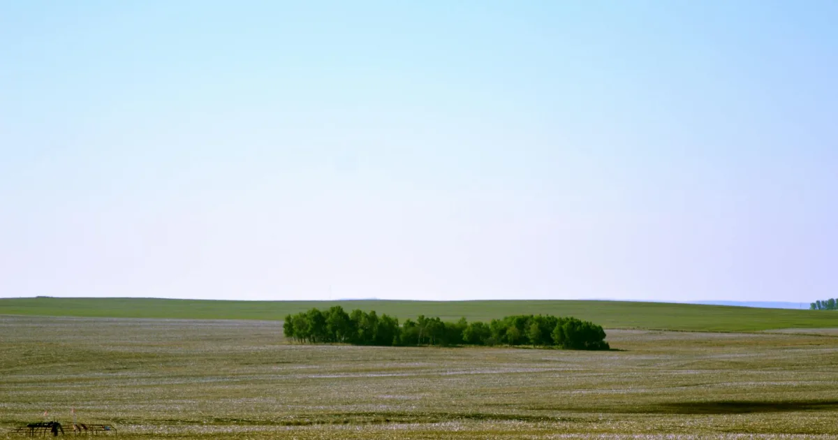 Downtown Cedar Butte, SD, SD