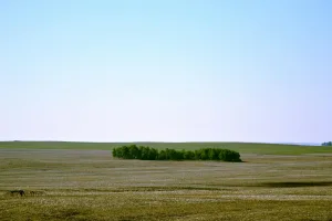 Downtown Cedar Butte, SD, SD