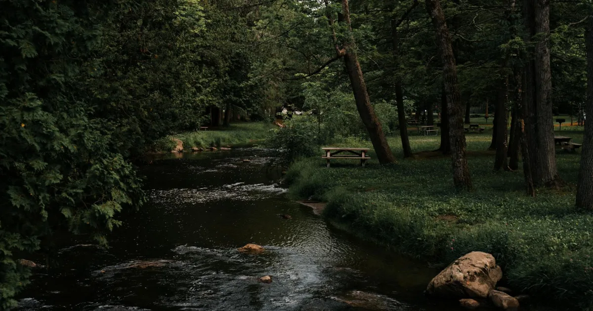 Downtown Cedar Creek, MI, MI