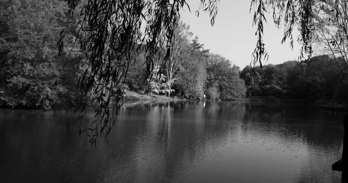 Downtown Cedar Glen Lakes, NJ, NJ