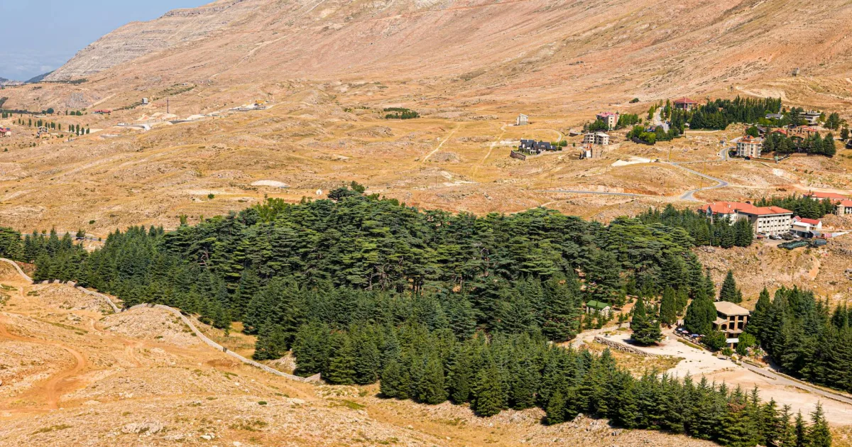 Downtown Cedar Hills, OR, OR