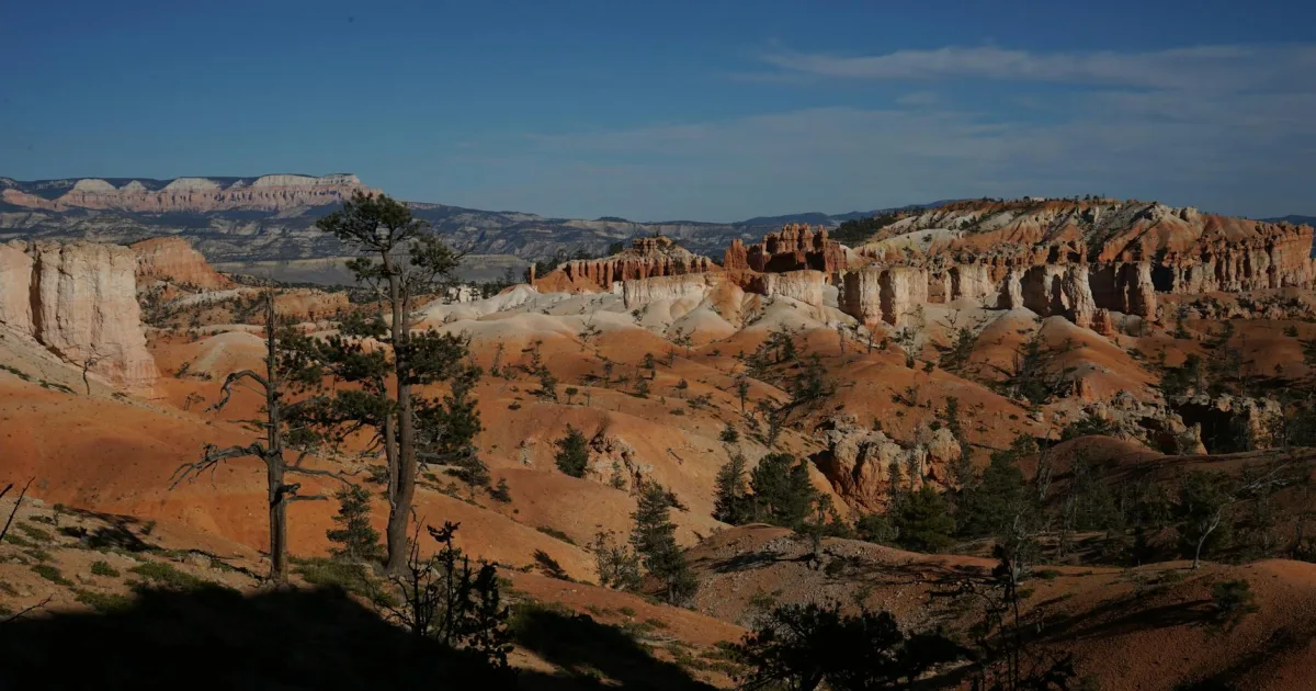 Downtown Cedar Hills, UT, UT