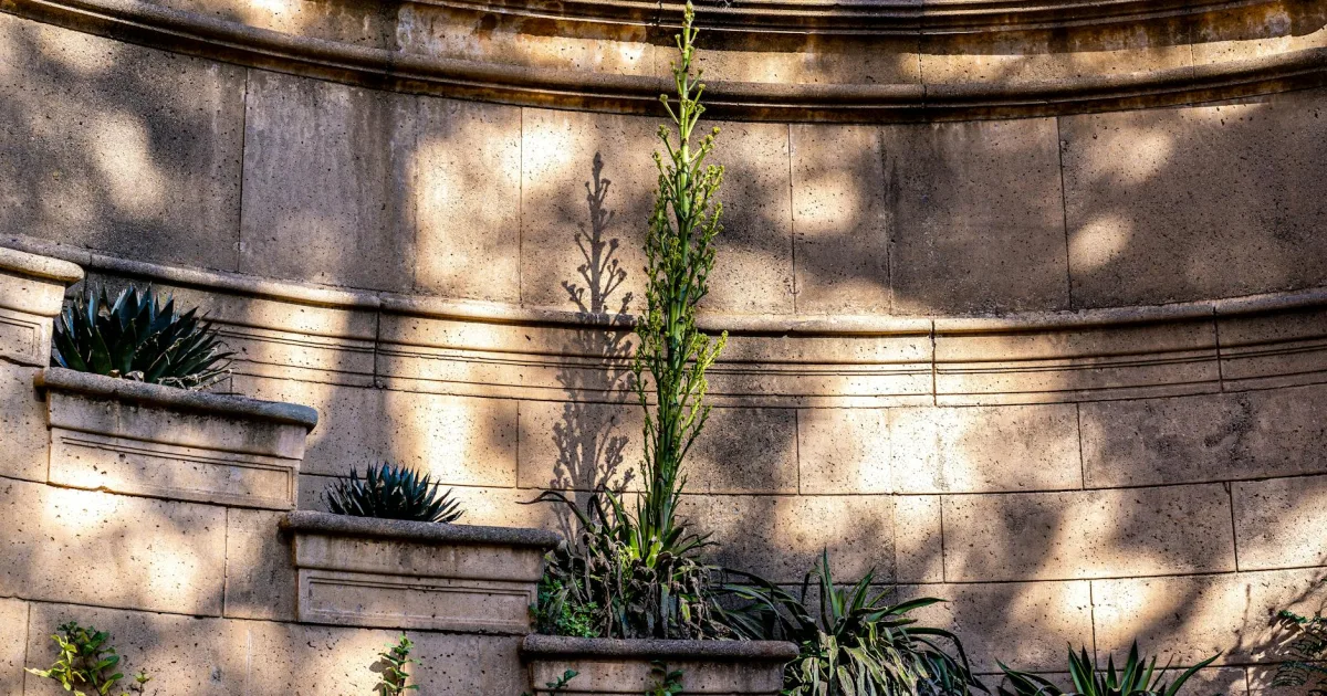 Downtown Central Gardens, TX, TX