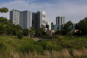 Downtown Champaign, IL, IL