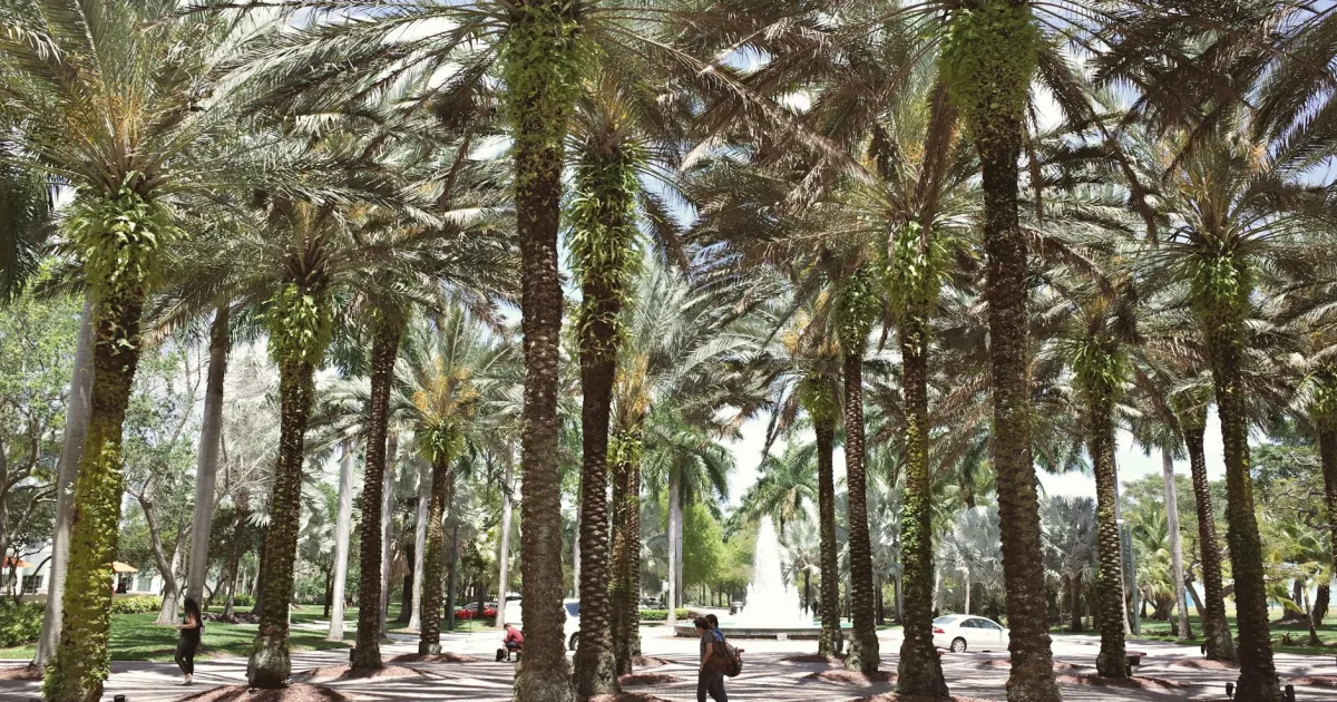 Downtown Charlotte Park, FL, FL