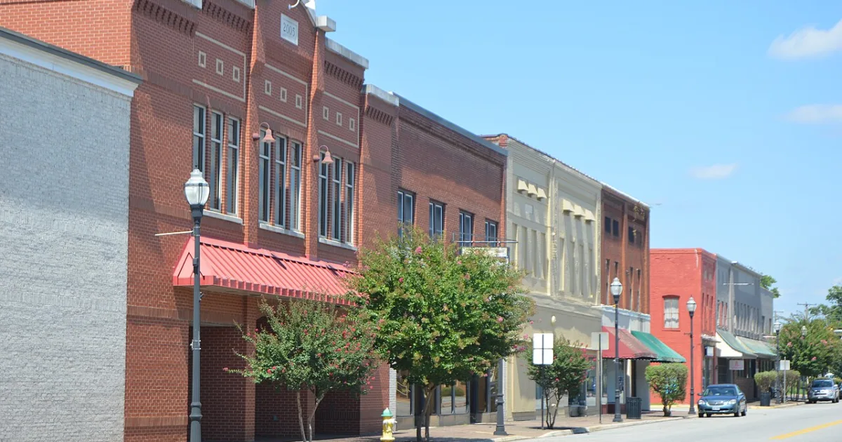 town in Mecklenburg County, Virginia, United States