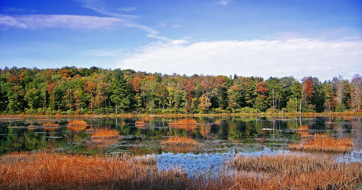 township in Wayne County, Pennsylvania