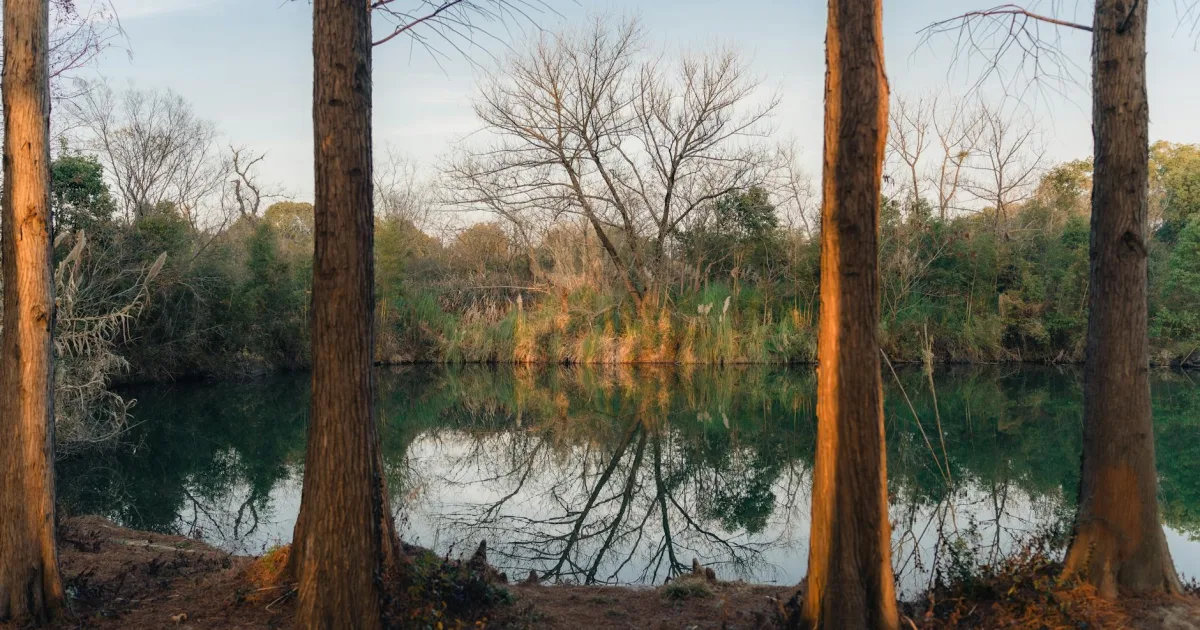 Downtown China Grove, TX, TX