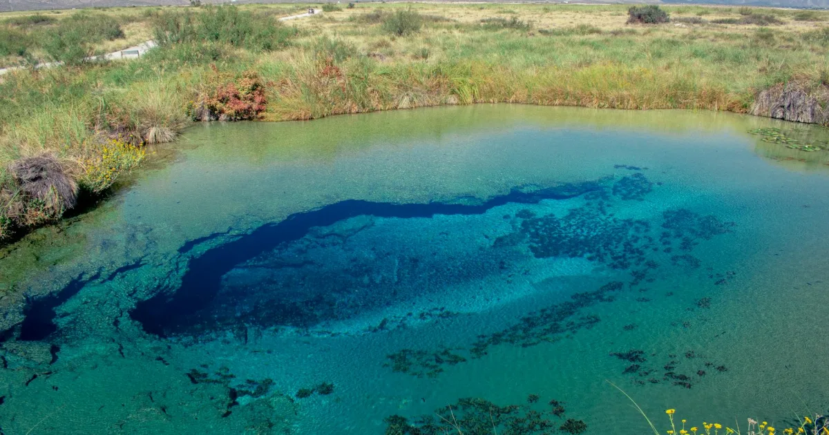 Downtown Cienega Springs, AZ, AZ